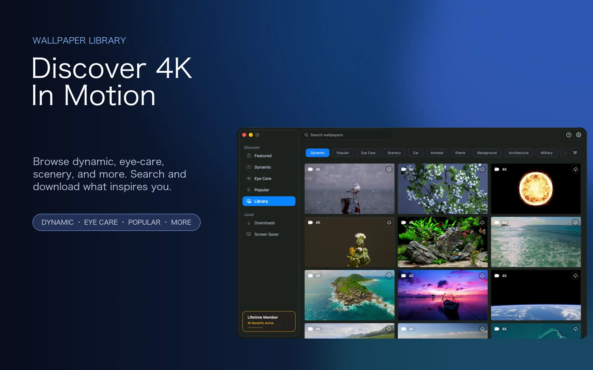 iWallpaper dynamic wallpaper library