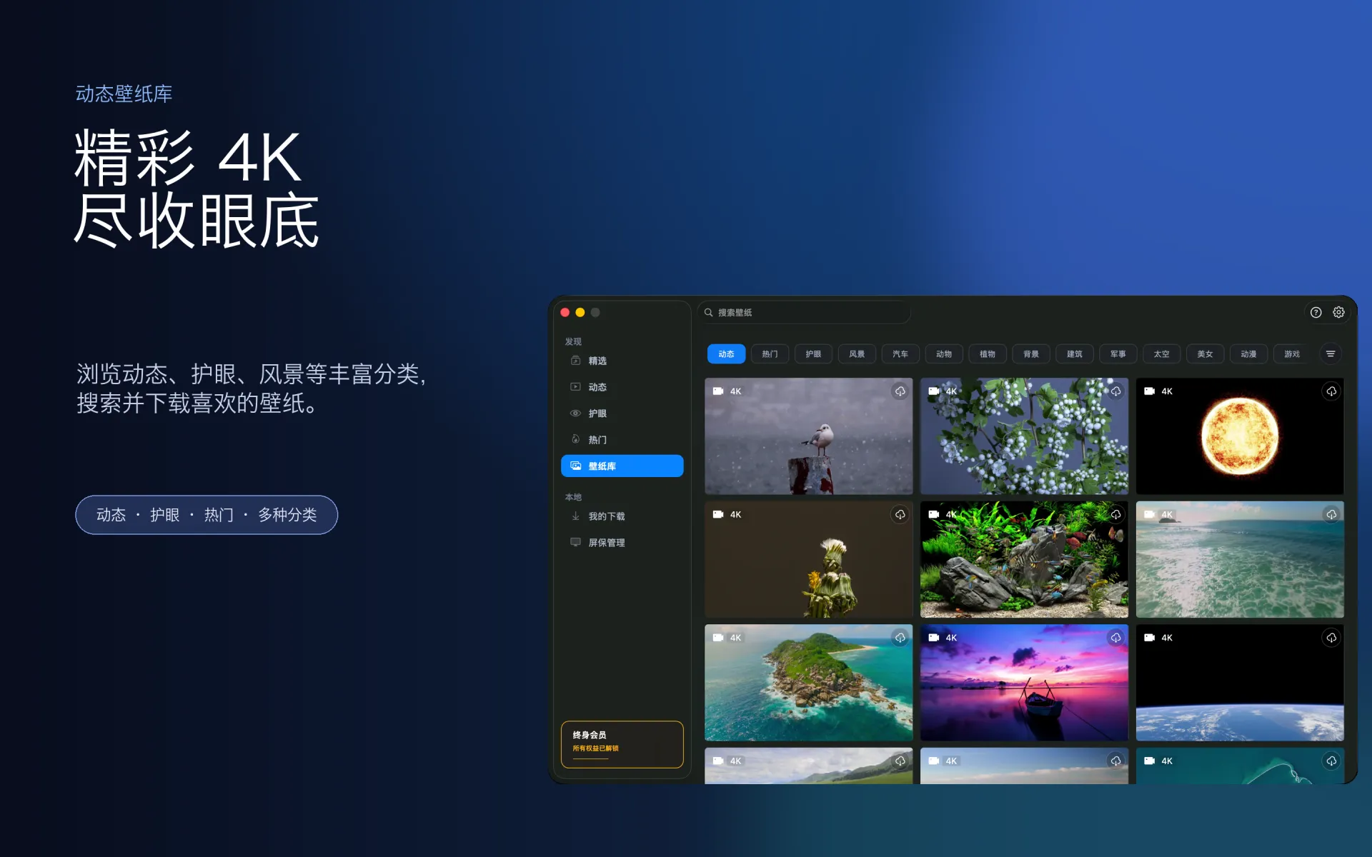 iWallpaper 动态壁纸库界面